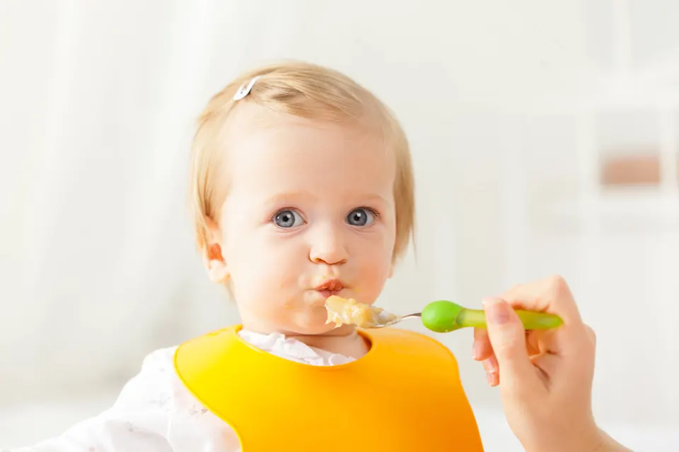 First Food for Babies: A Guide to Transition to Supplemental Food