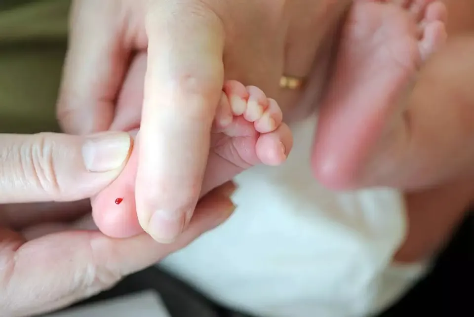 What is Heel Blood?